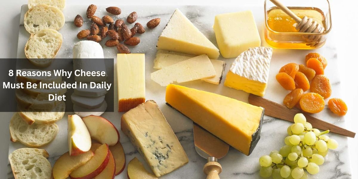 8 Reasons Why Cheese Must Be Included In Daily Diet 1 