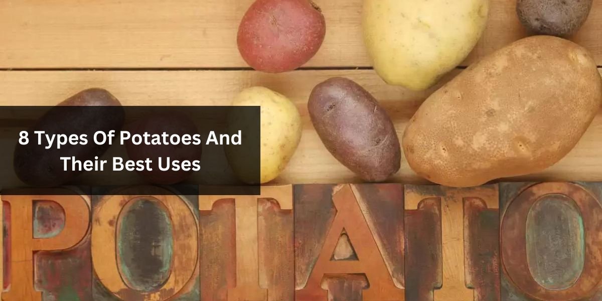 8 Types Of Potatoes And Their Best Uses